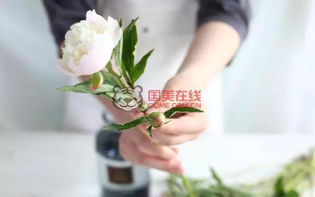 芍药花养护方法