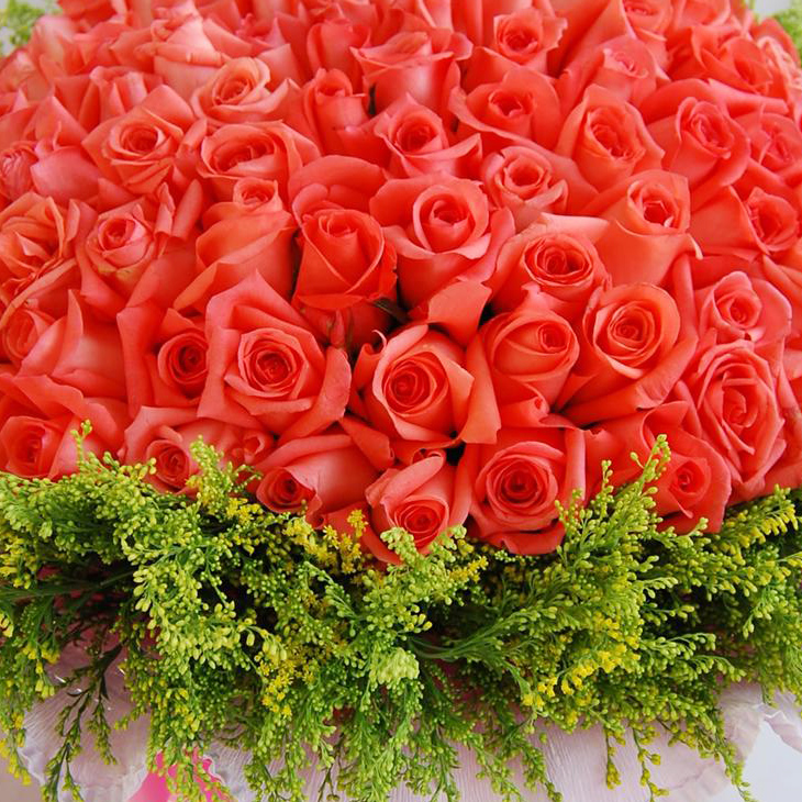 中礼鲜花速递 99朵粉玫瑰花束 爱你久久 求婚表白鲜花